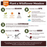 Deer Resistant Wildflower Seed Mix