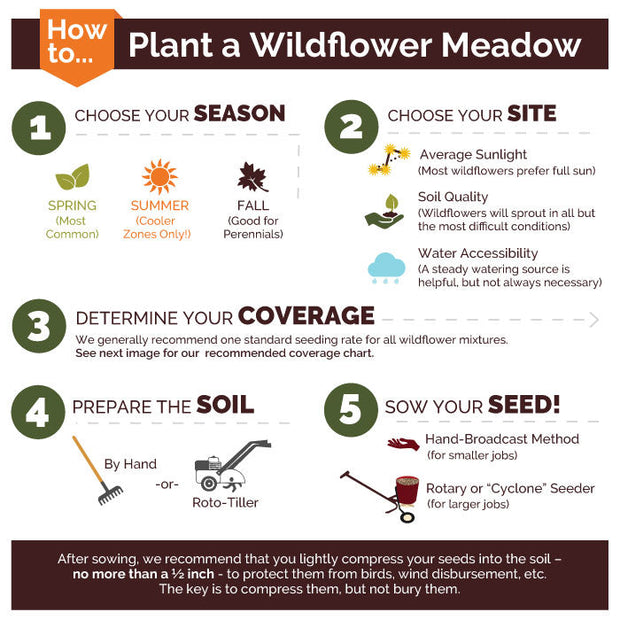 Deer Resistant Wildflower Seed Mix