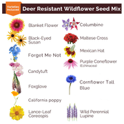 Deer Resistant Wildflower Seed Mix