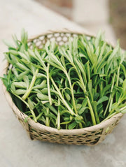 High-Calcium Heart-Nourishing Herb（Sedum aizoon L. ）