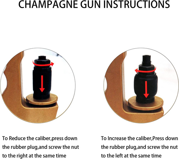 Champagne Gun Sprayer