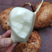 Jicama Pachyrhizus Erosus Seeds🥔