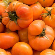 🍅Amana Orange Heirloom Tomato Seeds - Large Tomato
