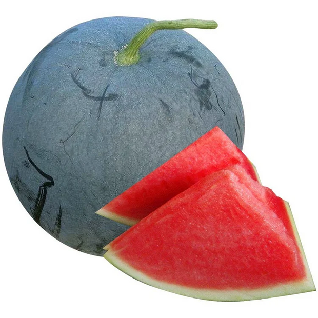 🍉Indulge in Sweetness: Black Diamond Watermelon Seeds, Seedless Bliss✨