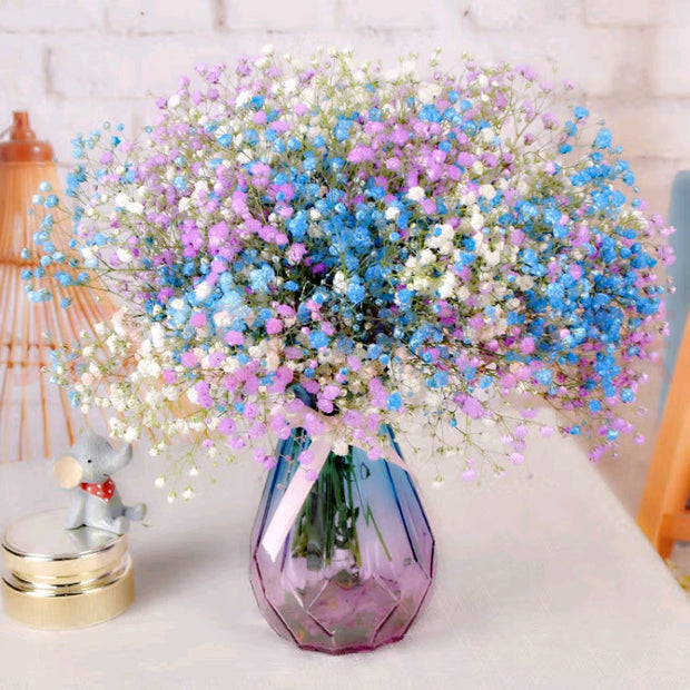 🌟Gypsophila—Sky Full Of Stars
