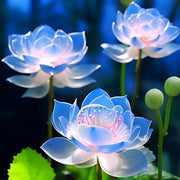 Crystal Blue Lotus Seeds
