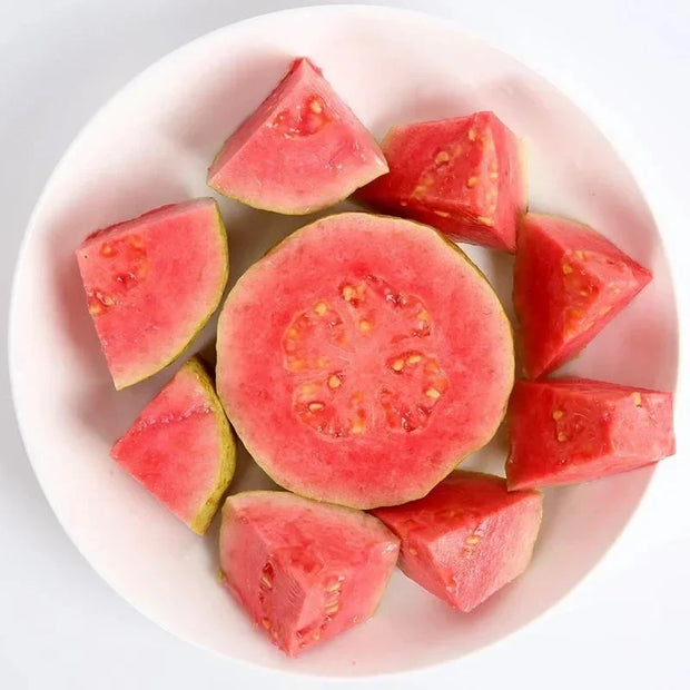 💗Tropical Strawberry Guava Organic Pink Guava Seeds💗