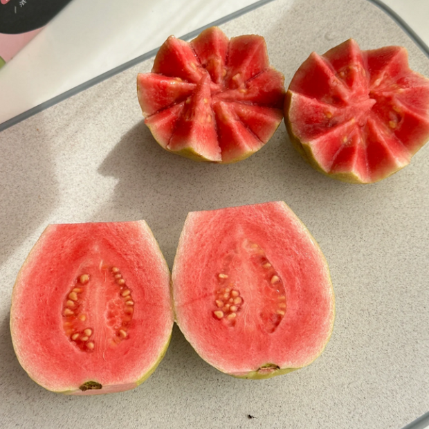 💗Tropical Strawberry Guava Organic Pink Guava Seeds💗