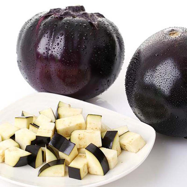 Grow Your Own Round Eggplant🌱🍆