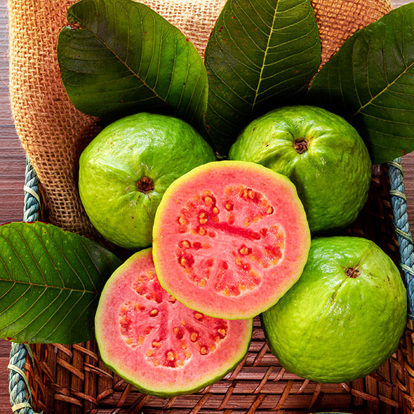 💗Tropical Strawberry Guava Organic Pink Guava Seeds💗