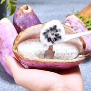 Stauntonia Latifolia Seeds-Organic Food😍