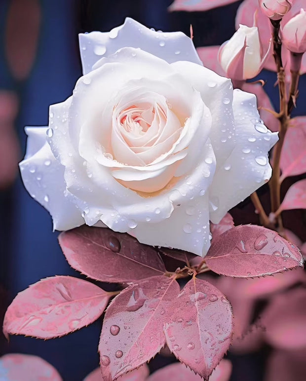 Rare Fresh White Rose Seeds