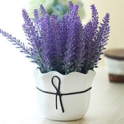 Last Day Sale - 60% OFF💐Provence Lavender Seeds Fragrant Organic Flower Seeds Home Garden Bonsai Plant
