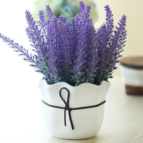 Last Day Sale - 60% OFF💐Provence Lavender Seeds Fragrant Organic Flower Seeds Home Garden Bonsai Plant
