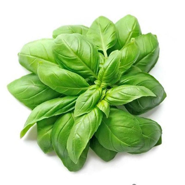 Nine Layer Tower Basil Seeds