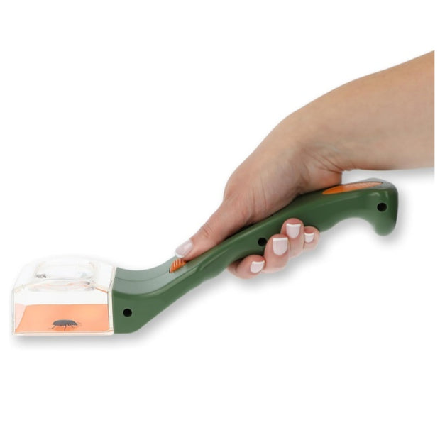 Insect capture observer