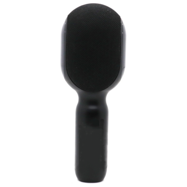 5-in-1 portable handheld microphone speaker