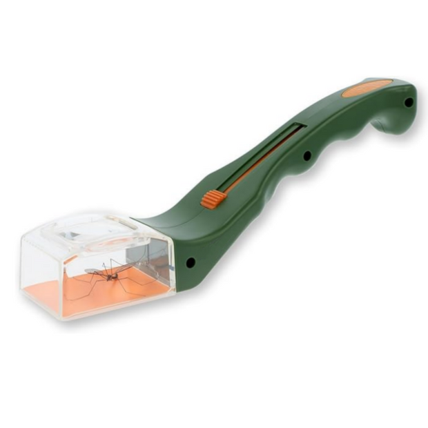 Insect capture observer