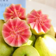 💗Tropical Strawberry Guava Organic Pink Guava Seeds💗