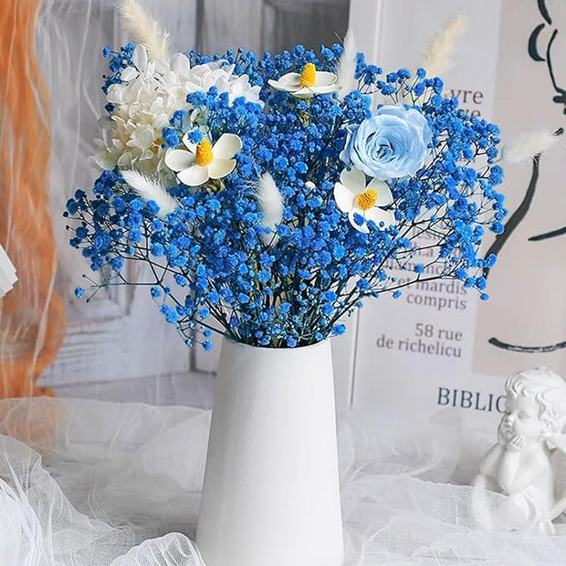 🌟Gypsophila—Sky Full Of Stars