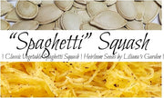 Spaghetti Squash Seeds