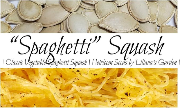 Spaghetti Squash Seeds