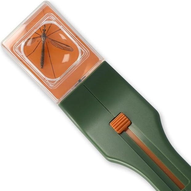 Insect capture observer