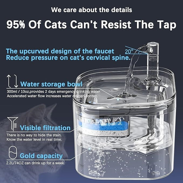 Pet cat waterer
