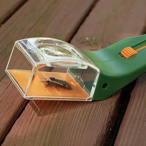 Insect capture observer