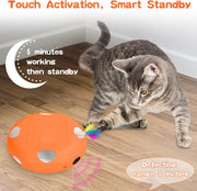 🐾 Smart Feather Hunt Box | A Toy That Plays With Your Cat When You Can’t!