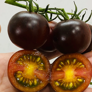 🍅Rare Black Tomato Seeds