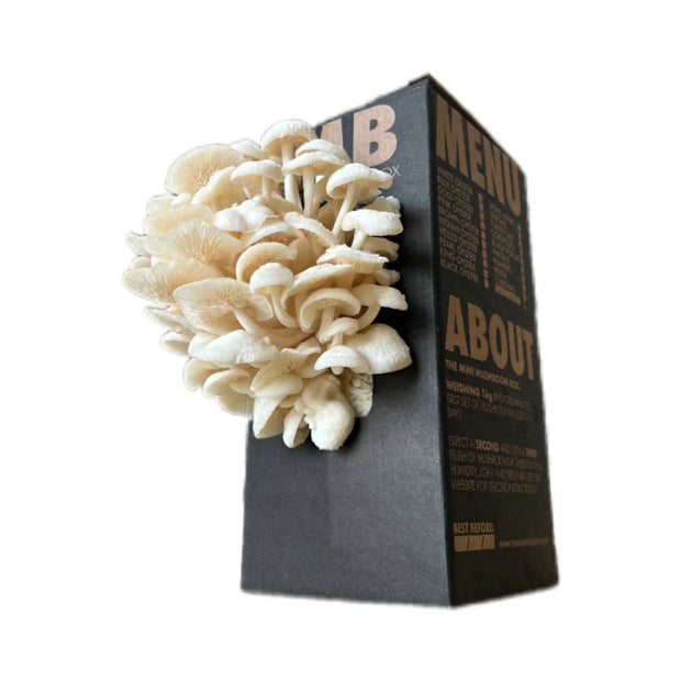 Mushroom Grower Kit