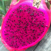 Red Pitaya Fruit Seeds