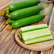 Thornless Fruit Cucumber Seeds