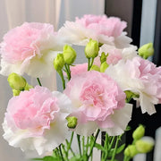 🌺Lisianthus - Sincere Love