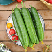 Big Sale -Crisp Cucumbers Seeds
