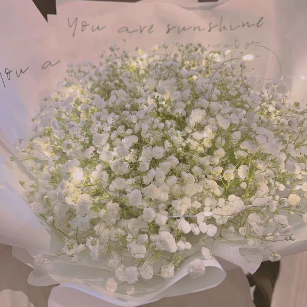 🌟Gypsophila—Sky Full Of Stars