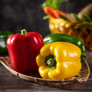 Rainbow Sweet Bell Pepper Seeds