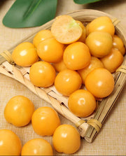 Rare Golden Berries, Easy to Grow! 🌱