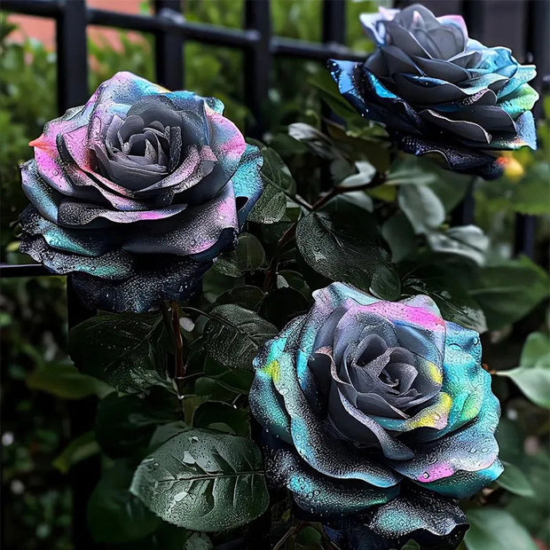 💥50% OFF 💙Blue Enchantress Mix Blue Rose Seeds✨