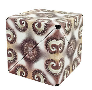 🧩 Mind-Bending Magnetic Puzzle Fun