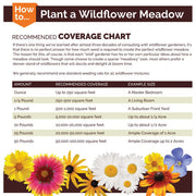Deer Resistant Wildflower Seed Mix
