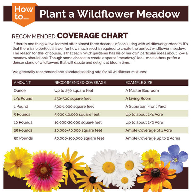Deer Resistant Wildflower Seed Mix