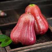 🔥HOT SALE-Wax-apple Fruit Seeds🍹