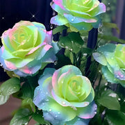 💥50% OFF 💙Blue Enchantress Mix Blue Rose Seeds✨