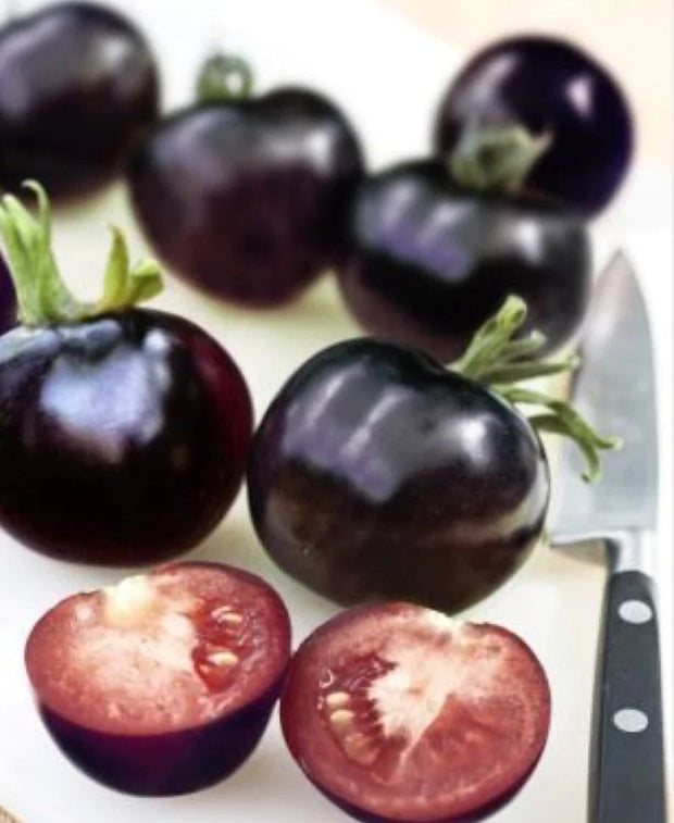 50/100 Organic Indigo Rose Tomato Seeds, Heirloom, Non-GMO, Solanum Lycopersicum😍