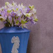 🧚‍♂️🔔Bluebell—The Lucky Bell Of Fairies