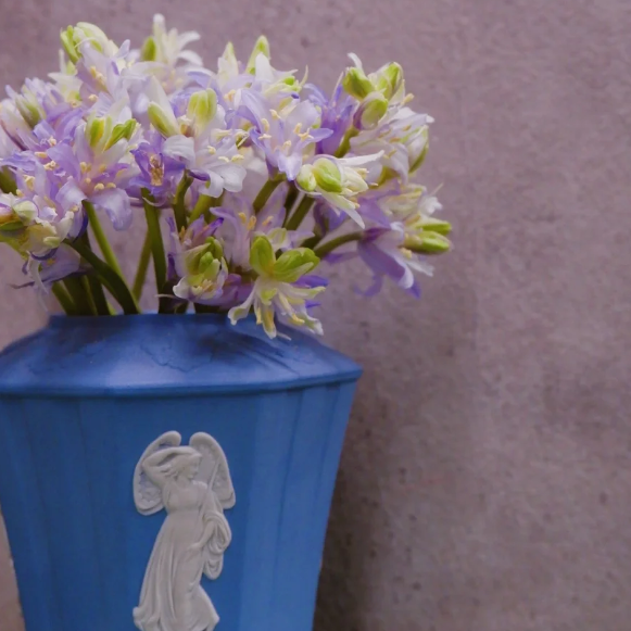 🧚‍♂️🔔Bluebell—The Lucky Bell Of Fairies