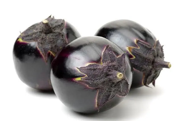 Grow Your Own Round Eggplant🌱🍆