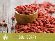 😍Last day sale - 60% off✨Goji seeds - heirloom seeds, medicinal plants, non-GMO